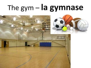 The gym – la gymnase
 
