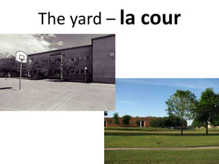 The yard – la cour
 