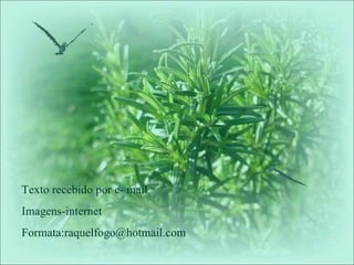 Texto recebido por e- mail Imagens-internet Formata:raquelfogo@hotmail.com 