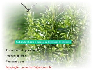 Texto recebido por e- mail
Imagens-internet
Formatado por raquelfogo@hotmail.com
Adaptação : jnoronha13@uol.com.br
Saiba sobre Curso e Terapia de Regressão de Memória
 