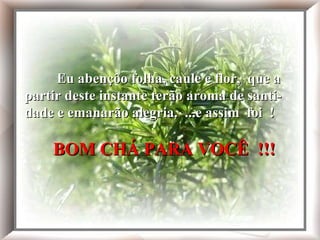 Eu abençôo folha, caule e flor, que a partir deste instante terão aroma de santidade e emanarão alegria.' Bom chá de alecrim pra você!!! Eu abençôo folha, caule e flor,  que a partir deste instante terão aroma de santi-  dade e emanarão alegria.  ...e assim  foi  !   BOM CHÁ PARA VOCÊ  !!! 