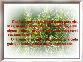 Confesso que nunca liguei muito para ele. Mas, naquele dia, com toda reverência, colhi alguns ramos, preparei um chá e o servi em uma linda xícara. O aroma era muito agradável e, a cada gole que bebia, senti a mente ir clareando  Confesso que nunca liguei muito para ele. Mas, naquele dia, com toda reverência, colhi alguns  ramos,  preparei  um  chá  e me servi  em uma linda xícara.   O  aroma  era  muito  agradável  e,  a cada gole que bebia, senti a mente ir clareando   