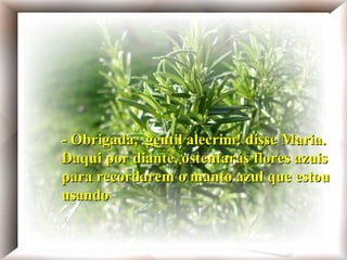 - Obrigada, gentil alecrim! disse Maria.
Daqui por diante, ostentarás flores azuis
para recordarem o manto azul que estou
usando

                          Obrigada, gentil alecrim! - disse Maria.
                          Daqui por diante, ostentarás flores azuis para
                          recordarem o manto azul que estou usando.
 