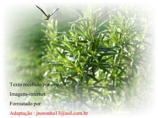 Texto recebido por e- mail
Imagens-internet
Formatado por raquelfogo@hotmail.com
Adaptação : jnoronha13@uol.com.br
 