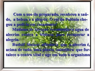 Com o uso do preparado, recobrou a saú-
de, a beleza e a alegria. O rei da Polônia che-
gou a pedí-la em casamento!
   Com o uso do preparado, recobrou a saúde,

    Madame de Sévigné recomendava água de
   a beleza e a alegria.

   O rei da Polônia chegou a pedi-la em casamento!

alecrim contra a tristeza, para recuperar a
   Madame de Sévigné recomendava água de alecrim
   contra a tristeza, para recuperar a alegria.


alegria.
   Rudolf Steiner afirmava que o alecrim é, acima de tudo,
   uma planta calorífera que fortalece o centro vital
   e age em todo o organismo.

    Rudolf Steiner afirmava que o alecrim é,
acima de tudo, uma planta calorífera que for-
talece o centro vital e age em todo o organismo.
 