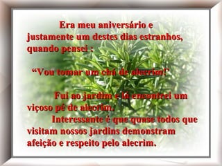 Era meu aniversário e
justamente um destes dias estranhos,
quando pensei :
Era meu aniversário e justamente um destes
dias estranhos, quando uma voz interior me
disse:'Você precisa tomar chá de alecrim!'
Fui ao jardim e lá estava nosso viçoso pé de
alecrim.
Interessante é que quase todos que visitam
nossos
jardins demonstram afeição e respeito pelo
alecrim.

“Vou tomar um chá de alecrim!’

Fui ao jardim e lá encontrei um
viçoso pé de alecrim.
Interessante é que quase todos que
visitam nossos jardins demonstram
afeição e respeito pelo alecrim.

 