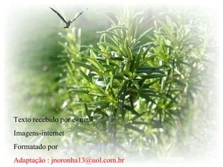 Texto recebido por e- mail Imagens-internet Formatado por   [email_address] Adaptação : jnoronha13@uol.com.br 