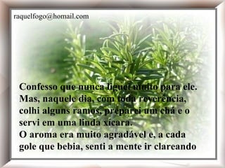 Confesso que nunca liguei muito para ele. Mas, naquele dia, com toda reverência, colhi alguns ramos, preparei um chá e o servi em uma linda xícara. O aroma era muito agradável e, a cada gole que bebia, senti a mente ir clareando  Confesso que nunca liguei muito para ele. Mas, naquele dia, com toda reverência, colhi alguns ramos, preparei um chá e o servi em uma linda xícara. O aroma era muito agradável e, a cada gole que bebia, senti a mente ir clareando   [email_address] 
