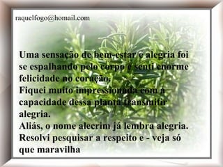 Uma sensação de bem-estar e alegria foi se espalhando pelo corpo e senti enorme felicidade no coração. Fiquei muito impressionada com a capacidade dessa planta transmitir alegria. Aliás, o nome alecrim já lembra alegria. Resolvi pesquisar a respeito e - veja só que maravilha  Uma sensação de bem-estar e alegria foi se espalhando pelo corpo e senti enorme felicidade no coração. Fiquei muito impressionada com a capacidade dessa planta transmitir alegria. Aliás, o nome alecrim já lembra alegria. Resolvi pesquisar a respeito e - veja só que maravilha  [email_address] 