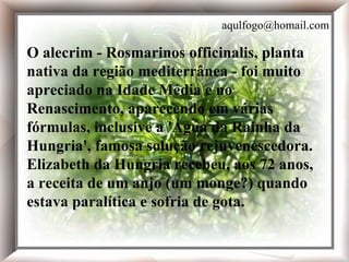 O alecrim - Rosmarinos officinalis, planta nativa da região mediterrânea - foi muito apreciado na Idade Média e no Renascimento, aparecendo em várias fórmulas, inclusive a 'Água da Rainha da Hungria', famosa solução rejuvenescedora. Elizabeth da Hungria recebeu, aos 72 anos, a receita de um anjo (um monge?) quando estava paralítica e sofria de gota. O alecrim - Rosmarinos officinalis, planta nativa da região mediterrânea - foi muito apreciado na Idade Média e no Renascimento, aparecendo em várias fórmulas, inclusive a 'Água da Rainha da Hungria', famosa solução rejuvenescedora. Elizabeth da Hungria recebeu, aos 72 anos, a receita de um anjo (um monge?) quando estava paralítica e sofria de gota. [email_address] 