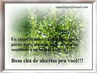Eu abençôo folha, caule e flor, que a partir deste instante terão aroma de santidade e emanarão alegria.' Bom chá de alecrim pra você!!! Eu abençôo folha, caule e flor, que a partir deste instante terão aroma de santidade e emanarão alegria.' Bom chá de alecrim pra você!!! [email_address] 