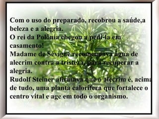 Com o uso do preparado, recobrou a saúde, a beleza e a alegria. O rei da Polônia chegou a pedi-la em casamento! Madame de Sévigné recomendava água de alecrim contra a tristeza, para recuperar a alegria. Rudolf Steiner afirmava que o alecrim é, acima de tudo, uma planta calorífera que fortalece o centro vital e age em todo o organismo. Com o uso do preparado, recobrou a saúde,a beleza e a alegria. O rei da Polônia chegou a pedi-la em casamento! Madame de Sévigné recomendava água de alecrim contra a tristeza, para recuperar a alegria. Rudolf Steiner afirmava que o alecrim é, acima de tudo, uma planta calorífera que fortalece o centro vital e age em todo o organismo. 