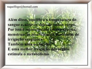 Além disso, equilibra a temperatura do sangue e, através dele, de todo o corpo. Por isso é recomendado contra anemia, menstruação insuficiente e problemas de irrigação sangüínea. Também atua no fígado. E uma melhor irrigação dos órgãos estimula o metabolismo  Além disso, equilibra a temperatura do sangue e, através dele, de todo o corpo. Por isso é recomendado contra anemia, menstruação insuficiente e problemas de irrigação sangüínea. Também atua no fígado. E uma melhor irrigação dos órgãos estimula o metabolismo  Além disso, equilibra a temperatura do sangue e, através dele, de todo o corpo. Por isso é recomendado contra anemia, menstruação insuficiente e problemas de irrigação sangüínea. Também atua no fígado. E uma melhor irrigação dos órgãos estimula o metabolismo  [email_address] 