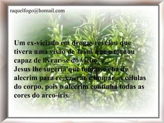 Um ex-viciado em drogas revelou que tivera uma visão de Jesus que o tornou capaz de livrar-se do vício. Jesus lhe sugeria que tomasse chá de alecrim para regenerar e limpar as células do corpo, pois o alecrim continha todas as cores do arco-íris. Um ex-viciado em drogas revelou que tivera uma visão de Jesus que o tornou capaz de livrar-se do vício. Jesus lhe sugeria que tomasse chá de alecrim para regenerar e limpar as células do corpo, pois o alecrim continha todas as cores do arco-íris. [email_address] 
