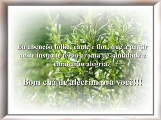 Eu abençôo folha, caule e flor, que a partir deste instante terão aroma de santidade e emanarão alegria.' Bom chá de alecrim pra você!!! Eu abençôo folha, caule e flor, que a partir deste instante terão aroma de santidade e emanarão alegria.' Bom chá de alecrim pra você!!! 