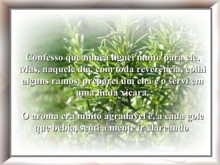 Confesso que nunca liguei muito para ele. Mas, naquele dia, com toda reverência, colhi alguns ramos, preparei um chá e o servi em uma linda xícara. O aroma era muito agradável e, a cada gole que bebia, senti a mente ir clareando  Confesso que nunca liguei muito para ele. Mas, naquele dia, com toda reverência, colhi alguns ramos, preparei um chá e o servi em uma linda xícara. O aroma era muito agradável e, a cada gole que bebia, senti a mente ir clareando  
