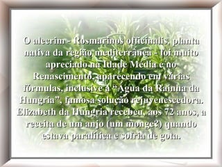 O alecrim - Rosmarinos officinalis, planta nativa da região mediterrânea - foi muito apreciado na Idade Média e no Renascimento, aparecendo em várias fórmulas, inclusive a 'Água da Rainha da Hungria', famosa solução rejuvenescedora. Elizabeth da Hungria recebeu, aos 72 anos, a receita de um anjo (um monge?) quando estava paralítica e sofria de gota. O alecrim - Rosmarinos officinalis, planta nativa da região mediterrânea - foi muito apreciado na Idade Média e no Renascimento, aparecendo em várias fórmulas, inclusive a “Água da Rainha da Hungria”, famosa solução rejuvenescedora. Elizabeth da Hungria recebeu, aos 72 anos, a receita de um anjo (um monge?) quando estava paralítica e sofria de gota. 