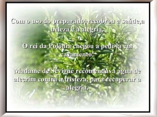 Com o uso do preparado, recobrou a saúde, a beleza e a alegria. O rei da Polônia chegou a pedi-la em casamento! Madame de Sévigné recomendava água de alecrim contra a tristeza, para recuperar a alegria. Rudolf Steiner afirmava que o alecrim é, acima de tudo, uma planta calorífera que fortalece o centro vital e age em todo o organismo. Com o uso do preparado, recobrou a saúde,a beleza e a alegria. O rei da Polônia chegou a pedí-la em casamento! Madame de Sévigné recomendava água de alecrim contra a tristeza, para recuperar a alegria. 