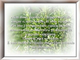 Além disso, equilibra a temperatura do sangue e, através dele, de todo o corpo. Por isso é recomendado contra anemia, menstruação insuficiente e problemas de irrigação sangüínea. Também atua no fígado. E uma melhor irrigação dos órgãos estimula o metabolismo  Além disso, equilibra a temperatura do sangue e, através dele, de todo o corpo. Por isso é recomendado contra anemia, menstruação insuficiente e problemas de irrigação sangüínea. Também atua no fígado. E uma melhor irrigação dos órgãos estimula o metabolismo  Além disso, equilibra a temperatura do sangue e, através dele, de todo o corpo. Por isso é recomendado contra anemia, menstruação insuficiente e problemas de irrigação sangüínea. Também atua no fígado. E uma melhor irrigação dos órgãos estimula o metabolismo.  