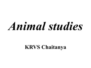 Animal studies
KRVS Chaitanya
 