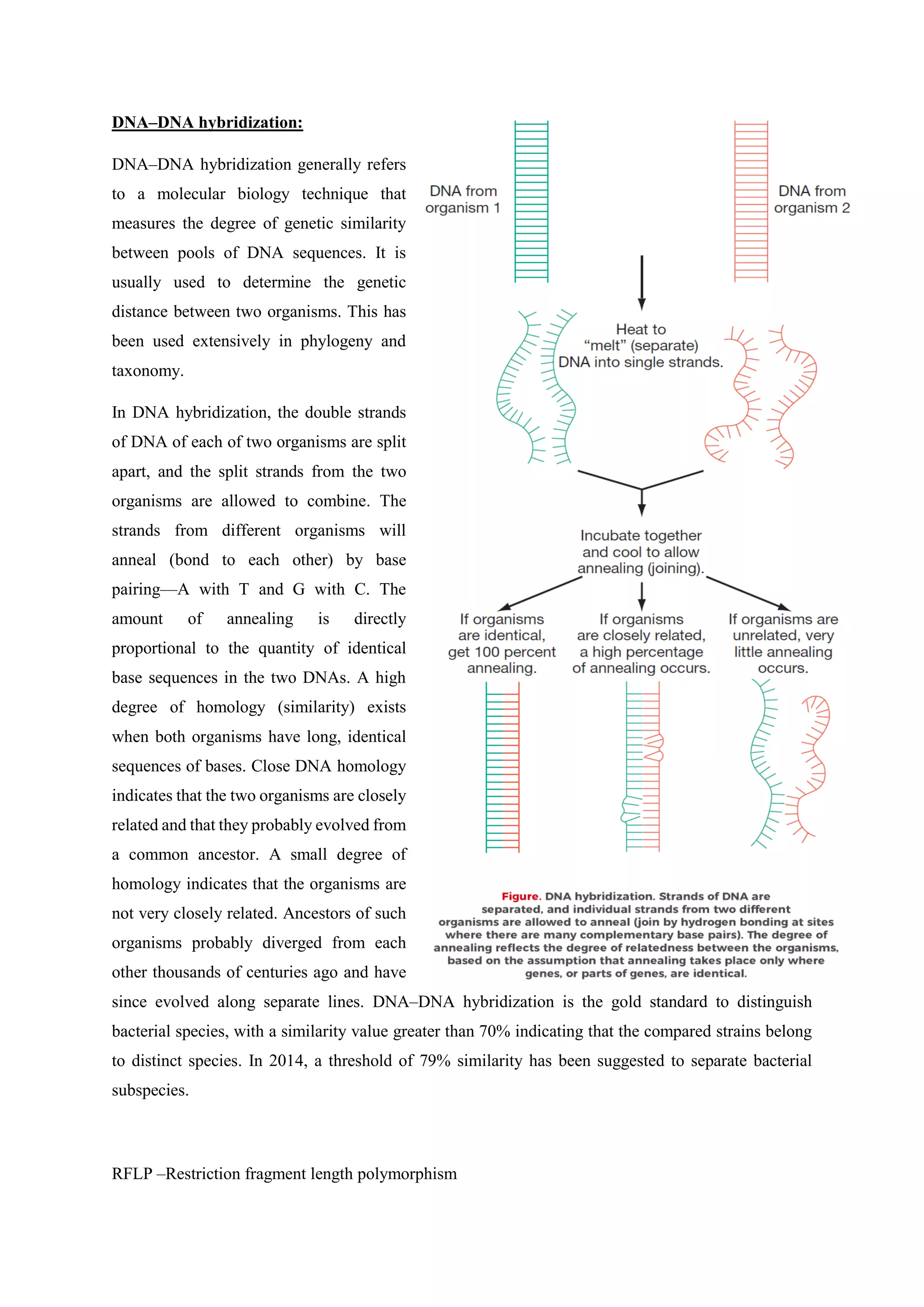 DNA–DNA hybridization:
DNA–DNA hybridization generally refers
to a molecular biology technique that
measures the degree of genetic similarity
between pools of DNA sequences. It is
usually used to determine the genetic
distance between two organisms. This has
been used extensively in phylogeny and
taxonomy.
In DNA hybridization, the double strands
of DNA of each of two organisms are split
apart, and the split strands from the two
organisms are allowed to combine. The
strands from different organisms will
anneal (bond to each other) by base
pairing—A with T and G with C. The
amount of annealing is directly
proportional to the quantity of identical
base sequences in the two DNAs. A high
degree of homology (similarity) exists
when both organisms have long, identical
sequences of bases. Close DNA homology
indicates that the two organisms are closely
related and that they probably evolved from
a common ancestor. A small degree of
homology indicates that the organisms are
not very closely related. Ancestors of such
organisms probably diverged from each
other thousands of centuries ago and have
since evolved along separate lines. DNA–DNA hybridization is the gold standard to distinguish
bacterial species, with a similarity value greater than 70% indicating that the compared strains belong
to distinct species. In 2014, a threshold of 79% similarity has been suggested to separate bacterial
subspecies.
RFLP –Restriction fragment length polymorphism
 