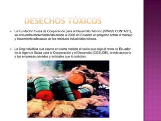    La Fundación Suiza de Cooperación para el Desarrollo Técnico (SWISS CONTACT),
    se encuentra implementando desde el 2006 en Ecuador un proyecto sobre el manejo
    y tratamiento adecuado de los residuos industriales tóxicos.


   La Ong helvética que asume en cierta medida el vacío que deja el retiro de Ecuador
    de la Agencia Suiza para la Cooperación y el Desarrollo (COSUDE), brinda asesoría
    a las empresas privadas y estatales que lo solicitan.
 