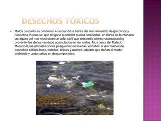    Malos pescadores continúan ensuciando la bahía del mar arrojando desperdicios y
    desechos tóxicos sin que ninguna autoridad pueda detenerlos, en horas de la mañana
    las aguas del mar mostraban un color café que despedía olores nauseabundos
    provenientes de los residuos acumulados en las orillas. Muy cerca del Palacio
    Municipal, las embarcaciones pesqueras fondeadas, echaban al mar baldes de
    desechos sólidos latas, botellas, bolsas y aceites, objetos que dañan el medio
    ambiente y tardan años en descomponerse.
 