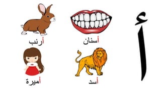 ‫أ‬‫سنان‬
‫أ‬‫سد‬
‫أ‬‫رنب‬
‫أ‬‫ميرة‬
 