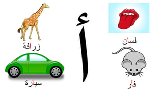 ‫ف‬‫أ‬‫ر‬
‫لس‬‫ا‬‫ن‬
‫سي‬‫ا‬‫رة‬
‫زر‬‫ا‬‫فة‬
 