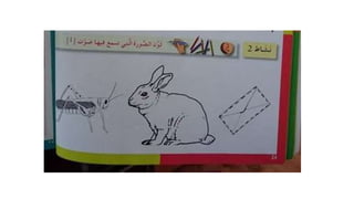 Alef pres