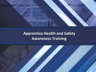 Apprentice Health and Safety
Awareness Training
 