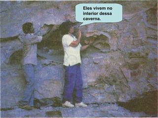 Eles vivem no interior dessa caverna. 
