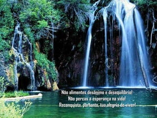 Não alimentes desânimo e desequilíbrio!Não alimentes desânimo e desequilíbrio!
Não percas a esperança na vida!Não percas a esperança na vida!
Reconquista, portanto, tua alegria de viver!Reconquista, portanto, tua alegria de viver!
 