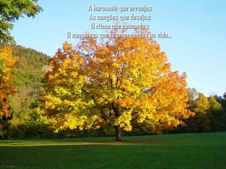A harmonia que arranjasA harmonia que arranjas
As canções que desejas;As canções que desejas;
O ritmo que comandas;O ritmo que comandas;
O compasso que tu empreendes na vida...O compasso que tu empreendes na vida...
 