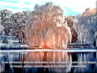 Se em sofrimento e diante de infelicidades, não te entregues à revolta, que, de temposSe em sofrimento e diante de infelicidades, não te entregues à revolta, que, de tempos
em tempos, ameaça a concretização de teus ideais de autoiluminação.em tempos, ameaça a concretização de teus ideais de autoiluminação.
 