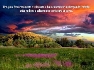 Ora, pois, fervorosamente e te levanta, a fim de encontrar, na bênção do trabalhoOra, pois, fervorosamente e te levanta, a fim de encontrar, na bênção do trabalho
ativo no bem, o bálsamo que te mitigará as dores.ativo no bem, o bálsamo que te mitigará as dores.
 