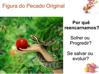 #
Por quê
reencarnamos?
6/39
Figura do Pecado Original
Sofrer ou
Progredir?
Se salvar ou
evoluir?
 