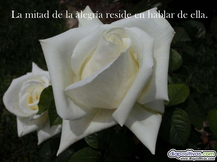 Alegria Diapositivas