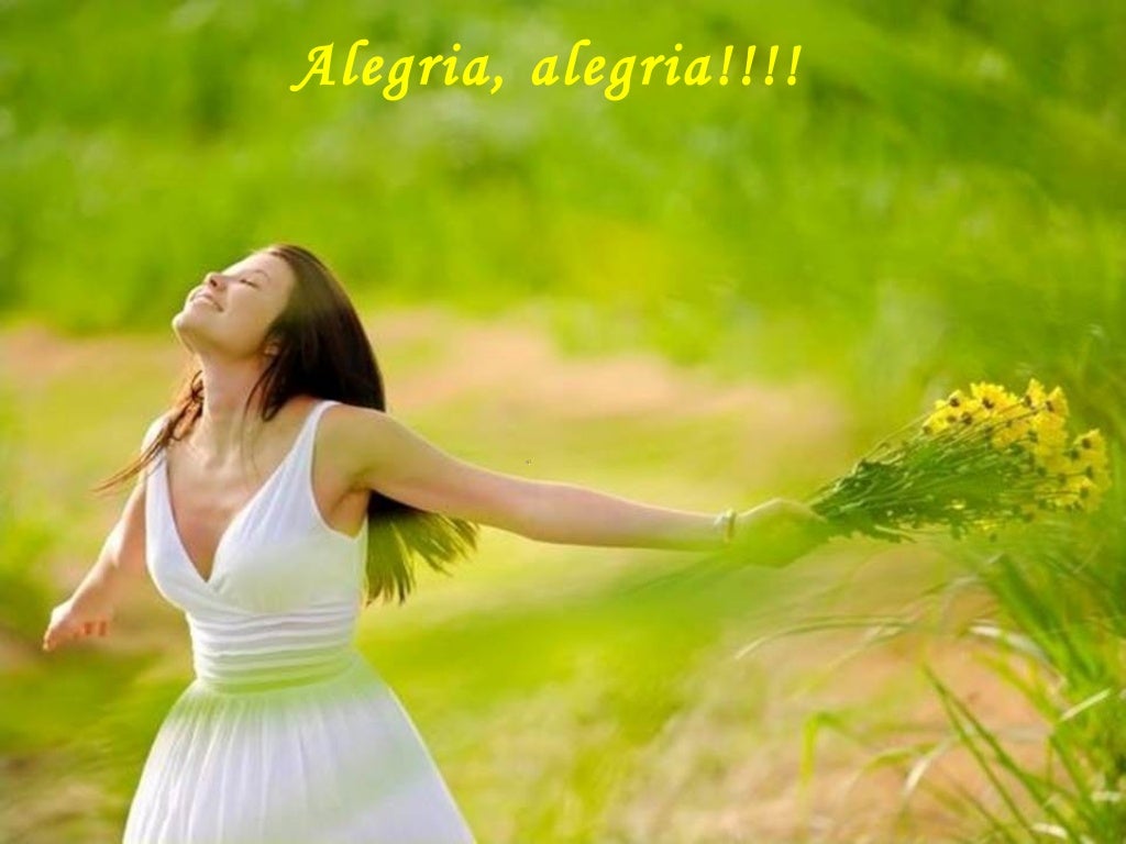Alegria alegria 1