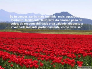 Se tu vences, serás mais humilde, mais agradecido...
 Portanto, facilmente feliz, livre do enorme peso da
culpa, da responsabilidade e da vaidade, disposto a
 viver cada instante profundamente, como deve ser.
 