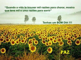 “Quando a vida te trouxer mil razões para chorar, mostra
que tens mil e uma razões para sorrir”



                              Tenhas um BOM DIA !!!!


                              PAZ




                                            PAZ
          Tenhas um BOM DIA !!!!
 