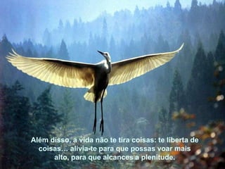Além disso, a vida não te tira coisas: te liberta de coisas…
alivia-te para que possas voar mais alto, para que alcances
a plenitude.




     Além disso, a vida não te tira coisas: te liberta de
       coisas… alivia-te para que possas voar mais
           alto, para que alcances a plenitude.
 