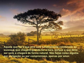 Aquele que faz o que ama está benditamente condenado ao sucesso, que chegará quando for a hora, porque o que deve ser será, e chegará de forma natural. Não faças coisa algu-ma por obrigação ou por compromisso, apenas por amor.  Aquele que faz o que ama está benditamente condenado ao sucesso, que chegará quando for a hora, porque o que deve ser será, e chegará de forma natural. Não faças coisa algu-ma por obrigação ou por compromisso, apenas por amor.  Aquele que faz o que ama está benditamente condenado ao sucesso, que chegará quando for a hora, porque o que deve ser será, e chegará de forma natural. Não faças coisa alguma por obrigação ou por compromisso, apenas por amor.  