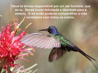 Deus te tornou responsável por um ser humano, que és tu.  Deves trazer felicidade e liberdade para ti mesmo.  E só então poderás compartilhar a vida verdadeira com todos os outros.   Deus te tornou responsável por um ser humano, que és tu.  Deves trazer felicidade e liberdade para ti mesmo.  E só então poderás compartilhar a vida verdadeira com todos os outros.   