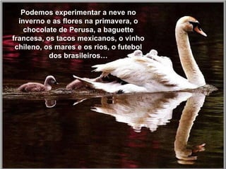Podemos experimentar a neve no inverno e as flores na primavera, o chocolate de Perusa, a baguette francesa, os tacos mexicanos, o vinho chileno, os mares e os rios, o futebol dos brasileiros… Podemos experimentar a neve no inverno e as flores na primavera, o chocolate de Perusa, a baguette francesa, os tacos mexicanos, o vinho chileno, os mares e os rios, o futebol dos brasileiros… 