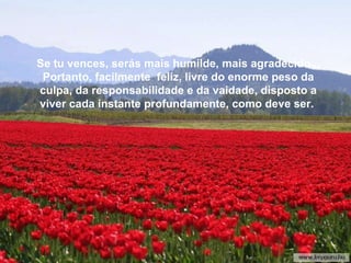 Se tu vences, serás mais humilde, mais agradecido... Portanto, facilmente  feliz, livre do enorme peso da culpa, da responsabilidade e da vaidade, disposto a viver cada instante profundamente, como deve ser.  
