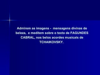 Admirem as imagens -  mensagens divinas de beleza,  e meditem sobre o texto de FAGUNDES CABRAL, nos belos acordes musicais de TCHAIKOVSKY.  