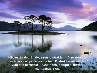 Não estás deprimido, estás distraído … Distraído em relação à vida que te preenche,.. Distraído em relação à vida que te rodeia -  Golfinhos, bosques, mares, montanhas, rios. Não estás deprimido, estás distraído … Distraído em relação à vida que te preenche,.. Distraído em relação à vida que te rodeia -  Golfinhos, bosques, mares, montanhas, rios. 