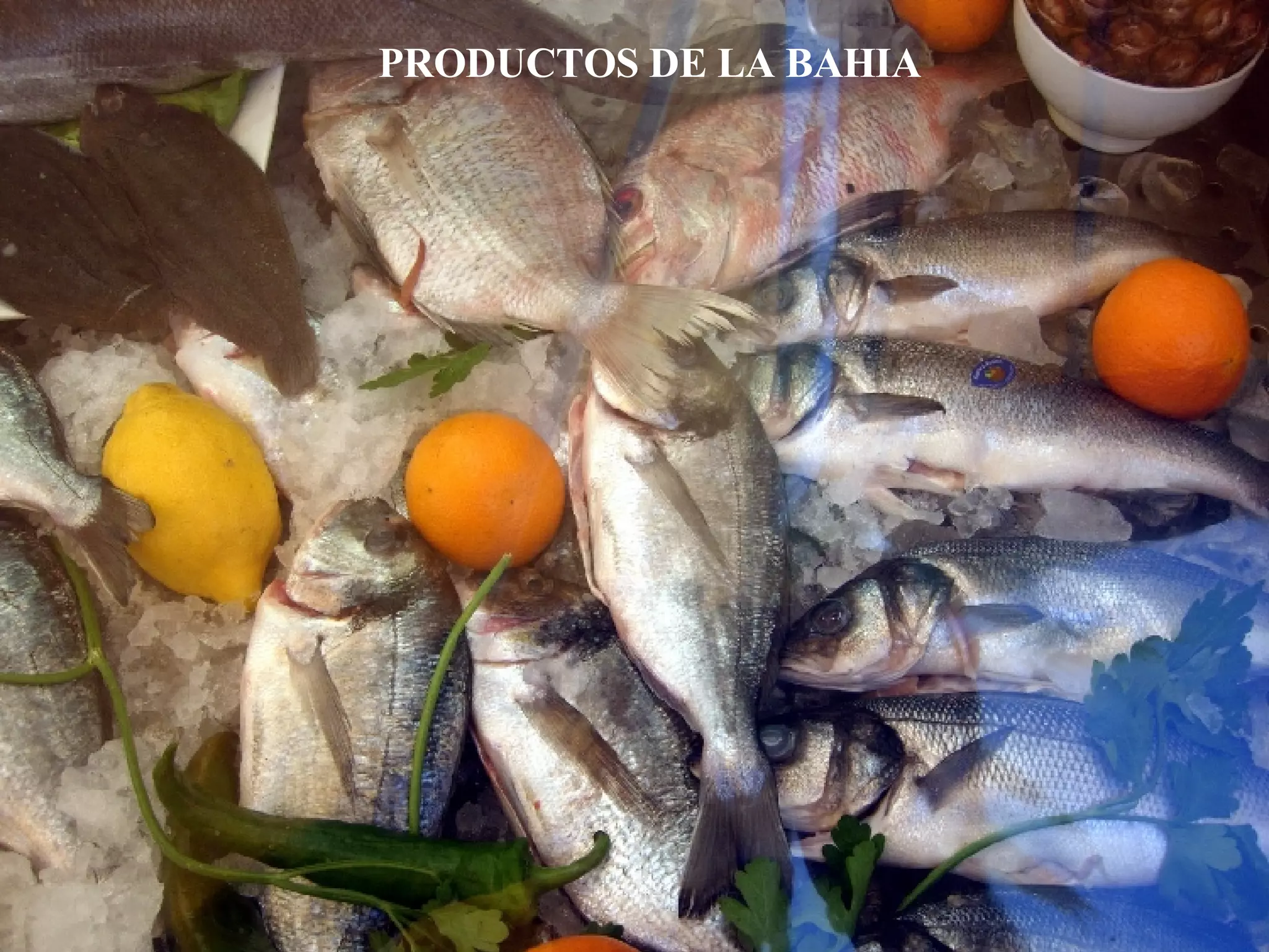 PRODUCTOS DE LA BAHIA