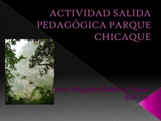 ACTIVIDAD SALIDA PEDAGÓGICA PARQUE CHICAQUE Yesica Alejandra Ramírez Ayala 804 Jm 